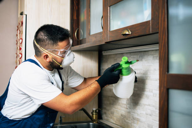Flea Control Services in Laurel Springs, NJ