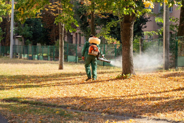 Best Affordable Pest Control Services  in Laurel Springs, NJ